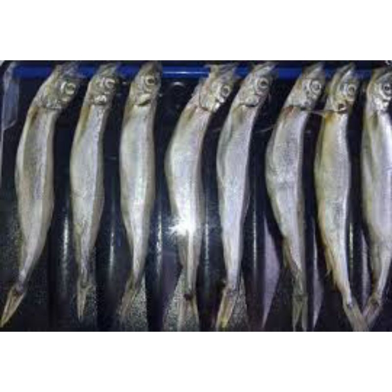 

Ikan shisamo / ikan telor
