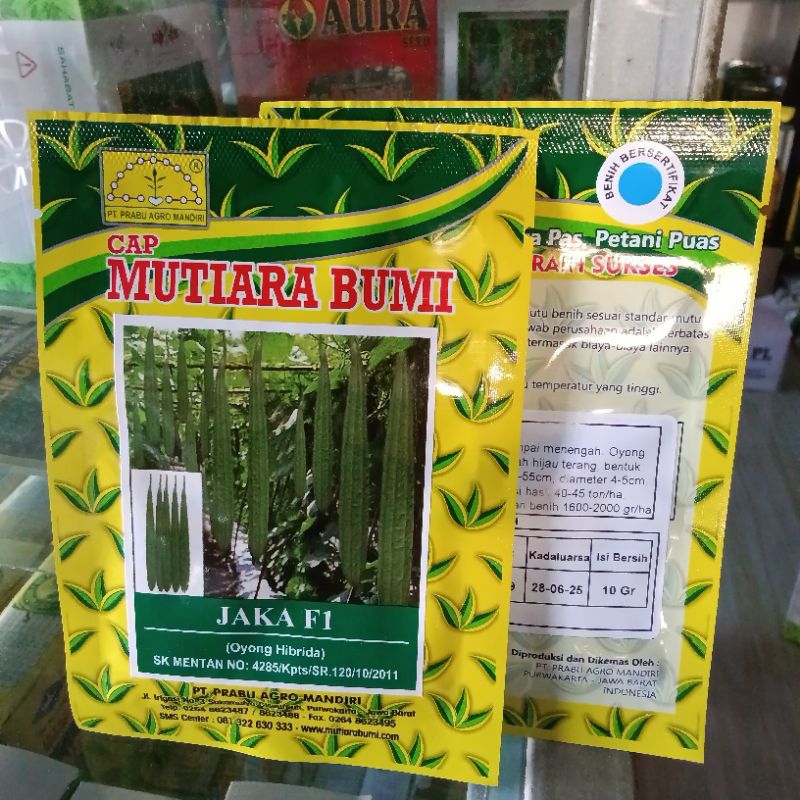 

Benih Gambas Oyong Super Jumbo Jaka F1 (Tidak Pahit, Tahan Virus, Perawatan Mudah Hijau Gelap disukai pasar) Isi 10 Gram Kadaluarsa. 2025. murah berkualitas