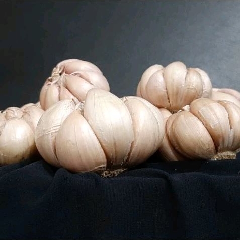 

Bawang Putih 1 kilo