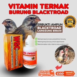 WGO ASLI Vitamin Ternak Burung Lovebird Kenari Finch Murai Cucak Ijo Biar Cepat Bertelur