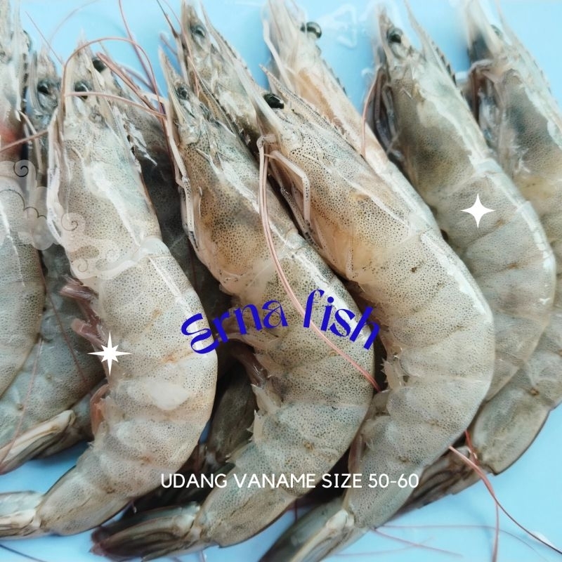 

Udang Vaname size 50-60