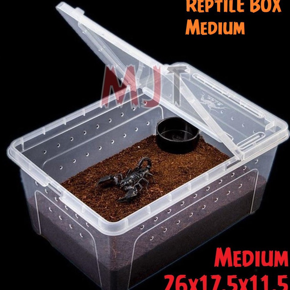 Breeding Box Kotak Kandang Reptil Tarantula Enclosure Feeding Box NOMOY H4 Wadah Gecko Iguana