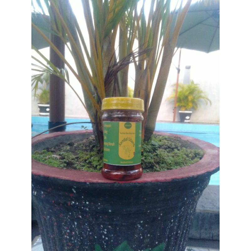 

Sambal udang 150gram TANPA BAHAN PENGAWET