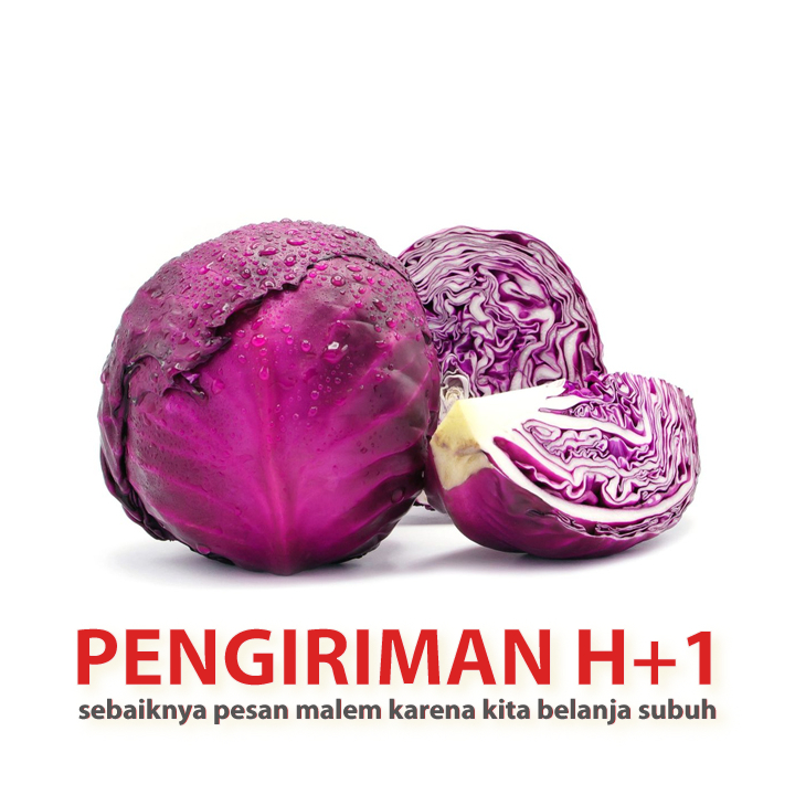 

Kol ungu kubis sayuran segar