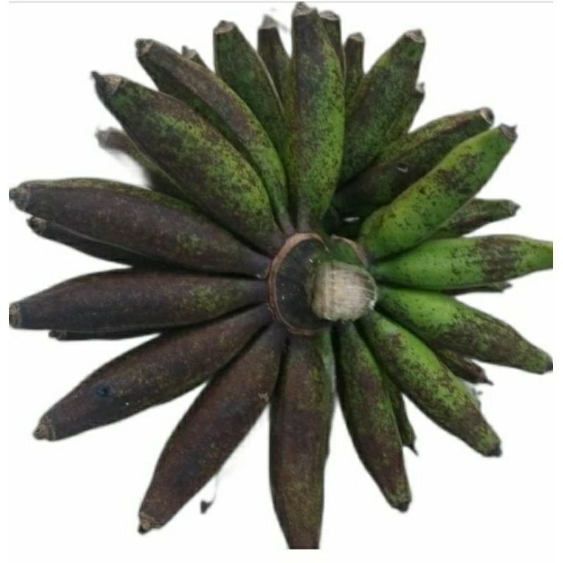 

pisang susu