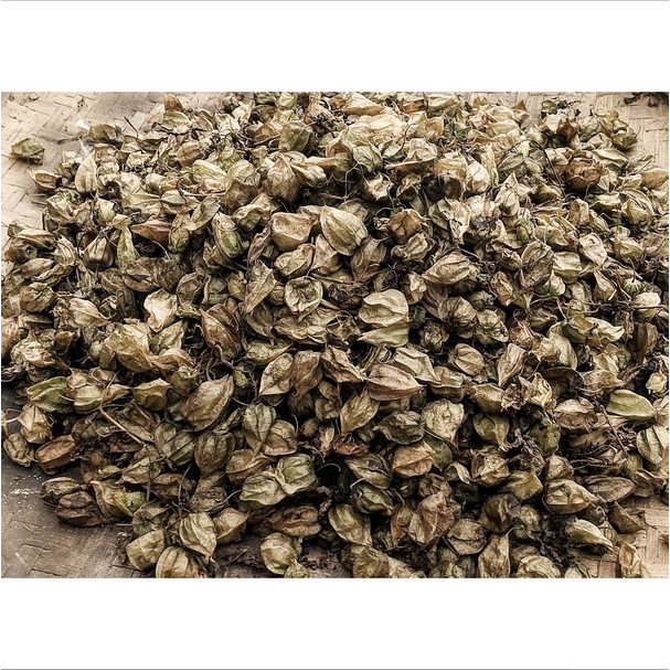 

Buah Ciplukan Kering / Biji Buah Cecendet Kering Alami