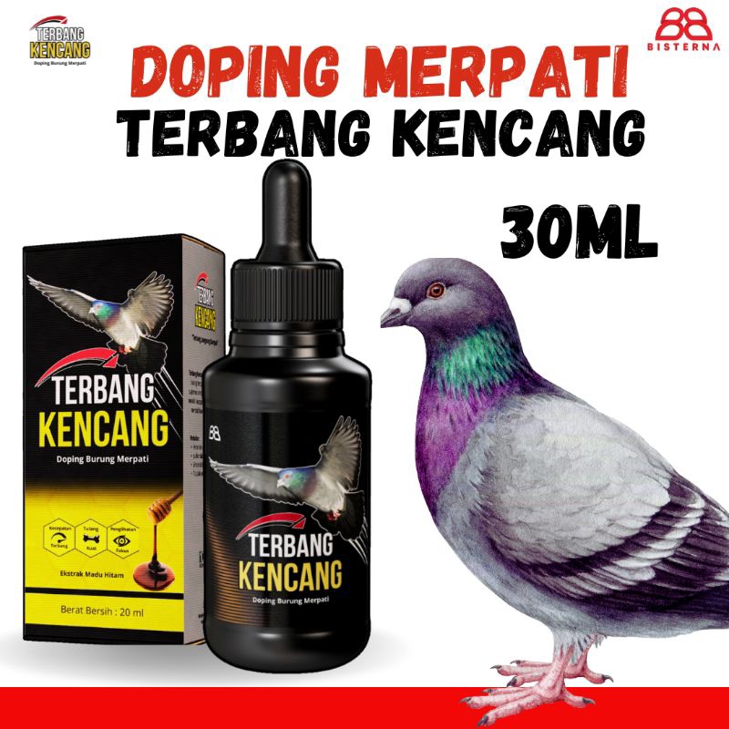 Doping merpati terbang kencang penglihatan jadi tajam giring keket