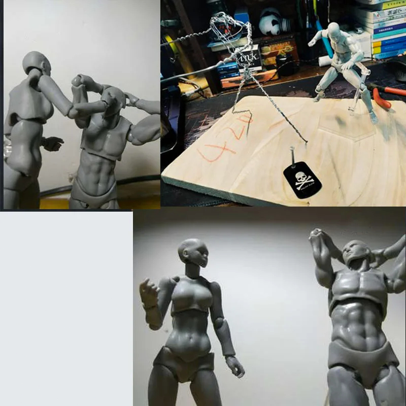 Figuart Body Kun / SHF Body Kun / Action Figure Model Male Female Body Archetype Model