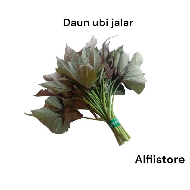 

daun ubi 1 ikat