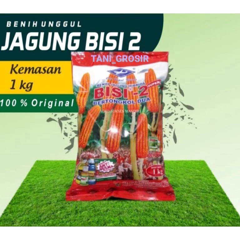 1ORI Update Exp Selalu yg terbaru Benih Jagung Bisi 2  tongkol 2 kemasan 1kg CAP KAPAL TERBANG KODE 