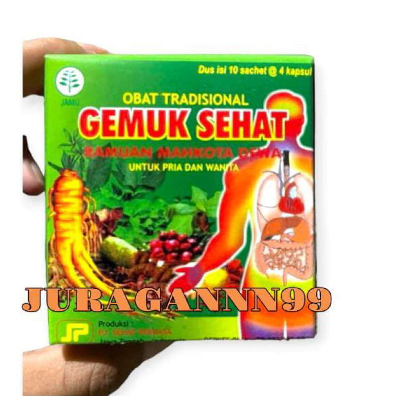 

Jamu Gemuk Sehat Original