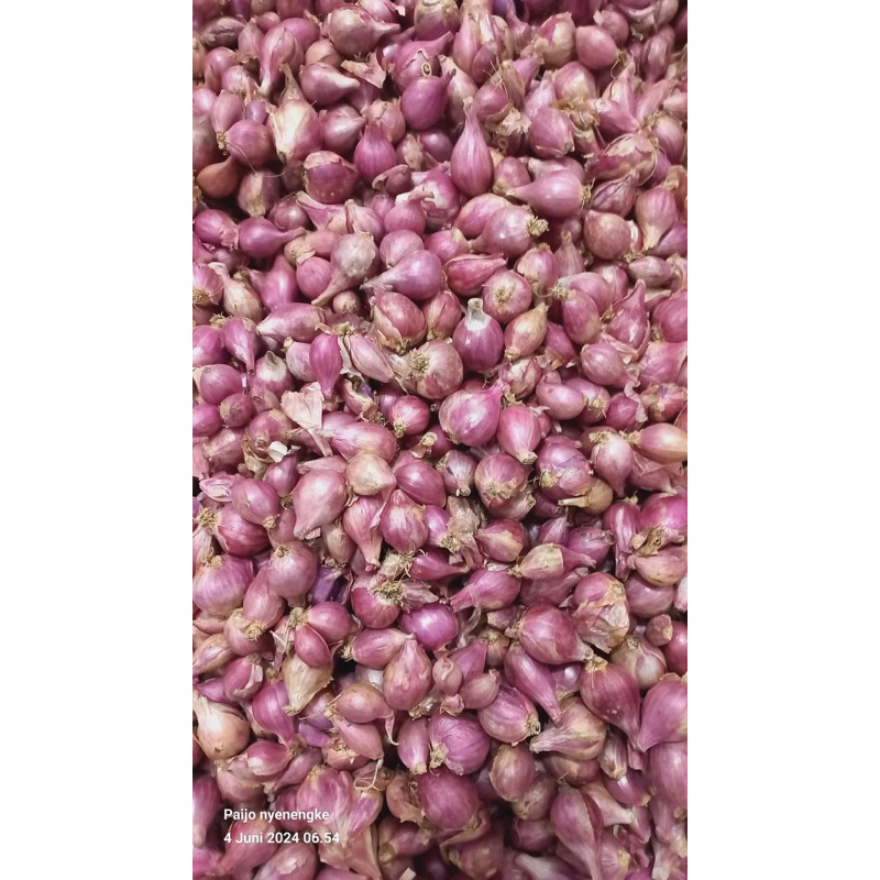 

Bawang Merah 1kg Lokal Brambang Merah