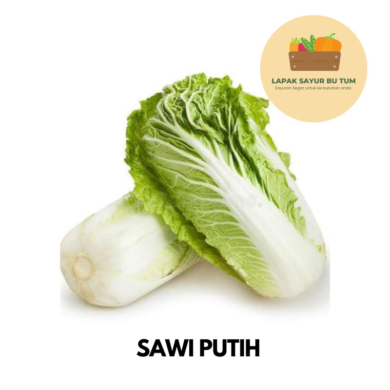 

Sayuran Segar - Sawi Putih 500gr - Lapak Sayur Bu Tum