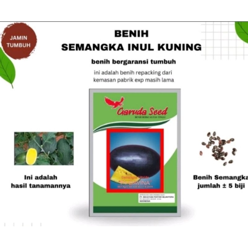 Benih Semangka Inul Kuning