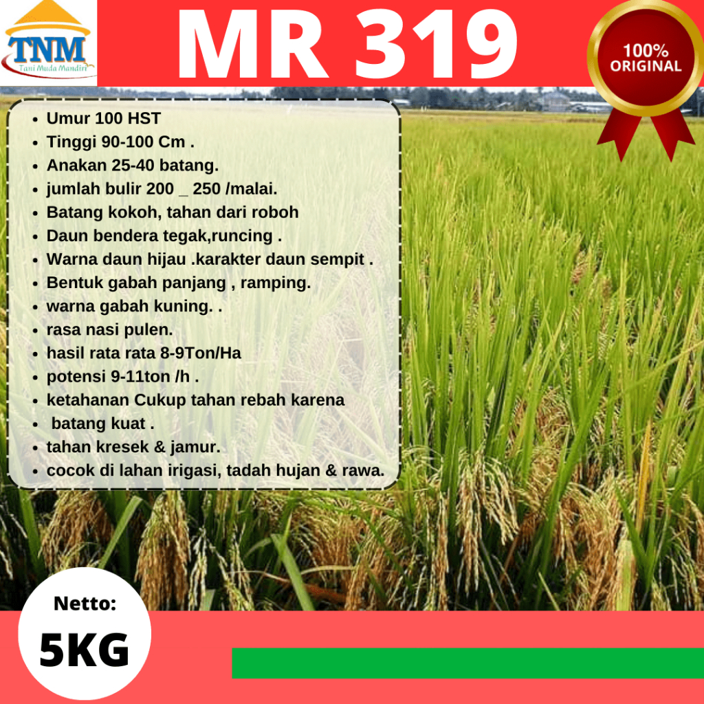 Biji Padi Unggul MR 319 5KG