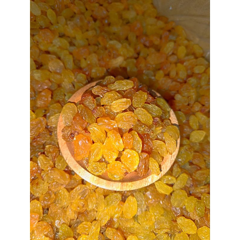 

Kismis Golden Raisin 1kg kismis manis oleh oleh haji umroh