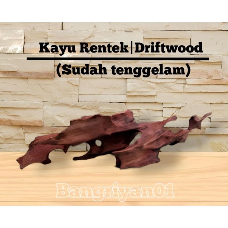 (FULL TENGGELAM) kayu rentek kayu aquarium aquascape paludarium dan hewan