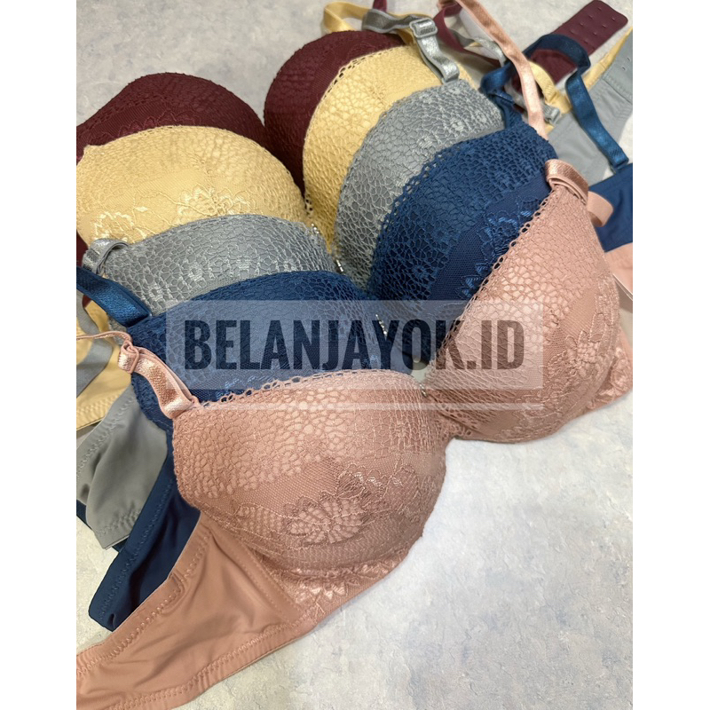 BH Elena Bra Elena 24407 Kawat Push Up Bra Cup Kecil Kait 2