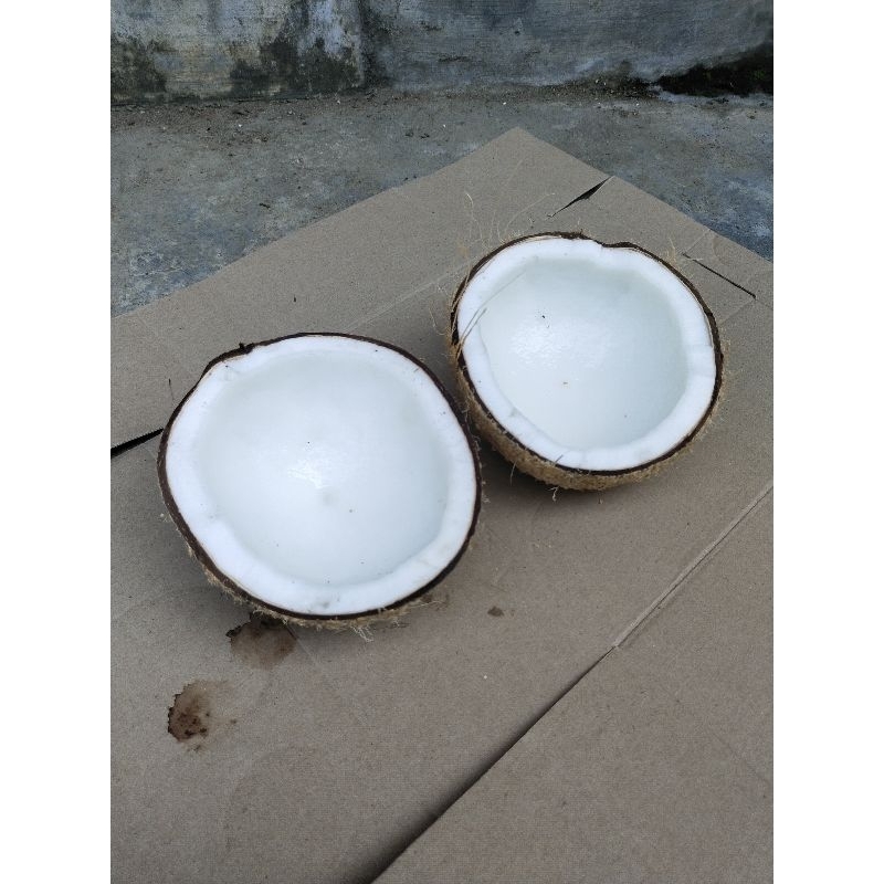 

KELAPA TUA UTUH BAHAN MASAK/ KAMBIL TUWEK