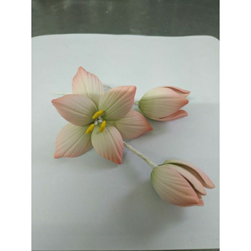 

Gumpaste Edible sugar Flower LTS Set