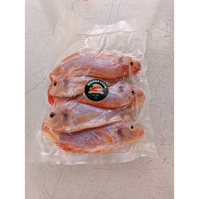 

Ikan Nila bangkok (Frozen)