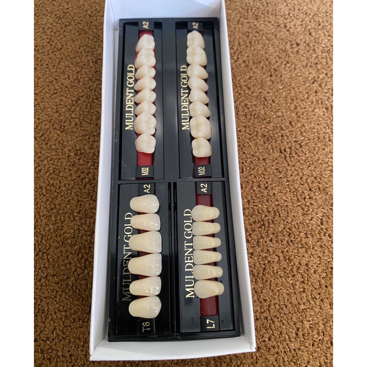 GIGI MULDENT GOLD FULLSET