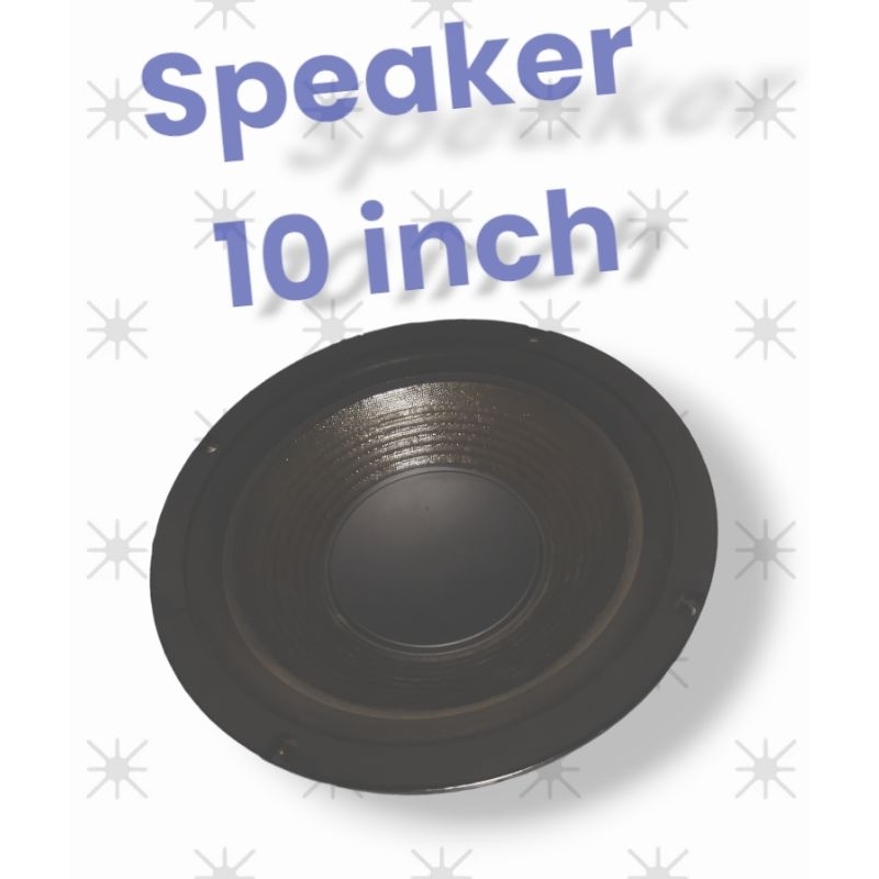 Speaker 10 inch / Bekas / Copotan