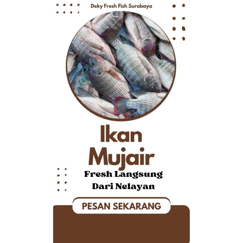 

Ikan mujair sedang / jumbo 1 kg
