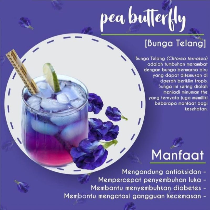 

Teh Bunga Telang