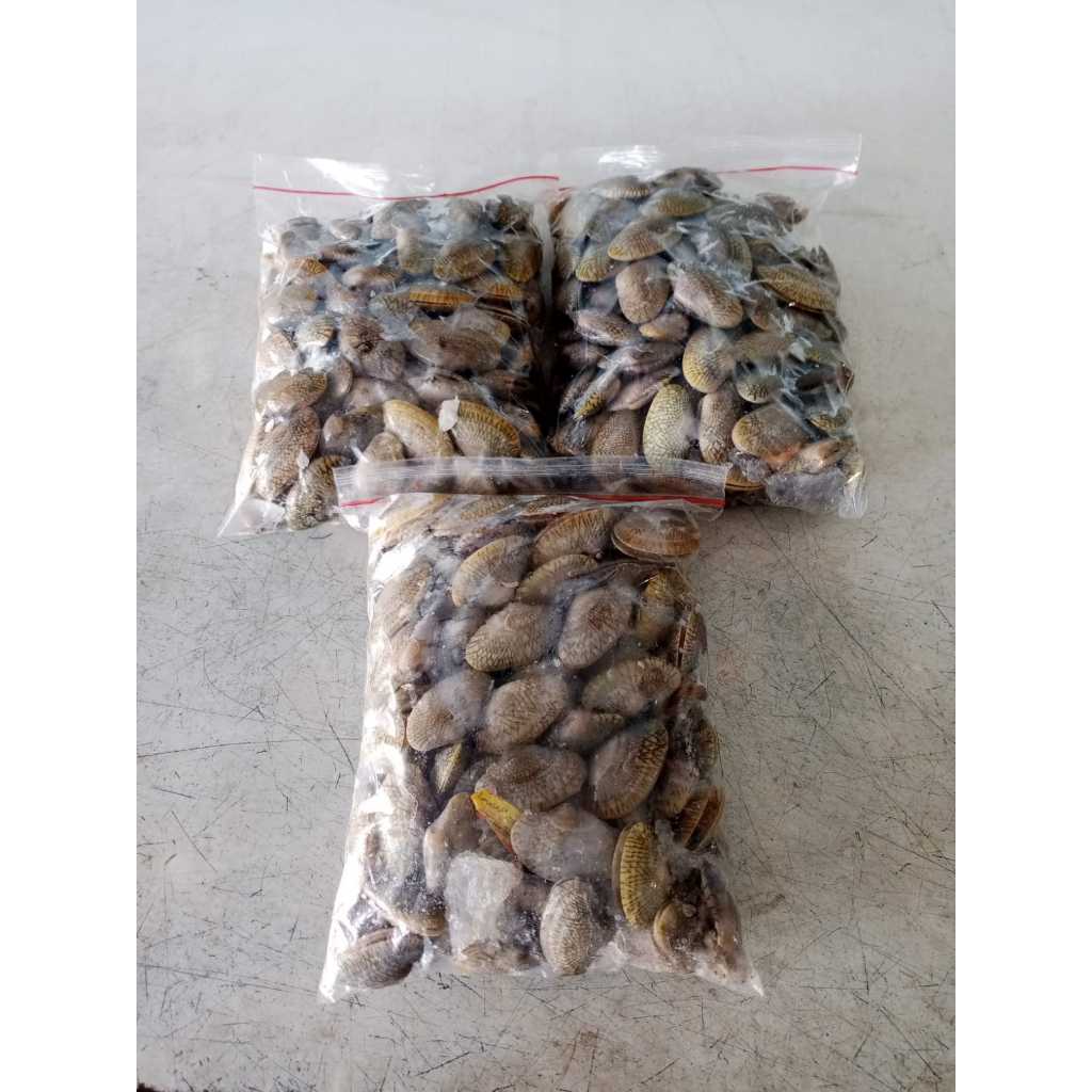 

KERANG BATIK 1KG