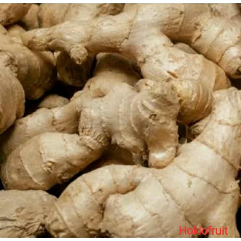 

Jahe kualitas premium/hokkysayur19