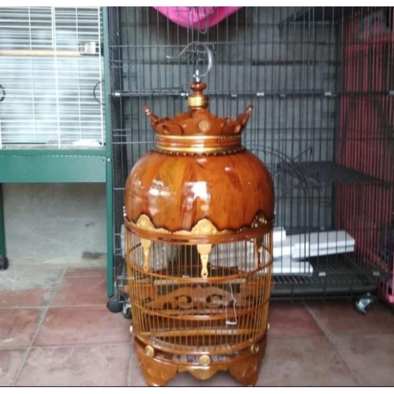 Kandang burung perkutut mahkota kayu jati variasi motif emas
