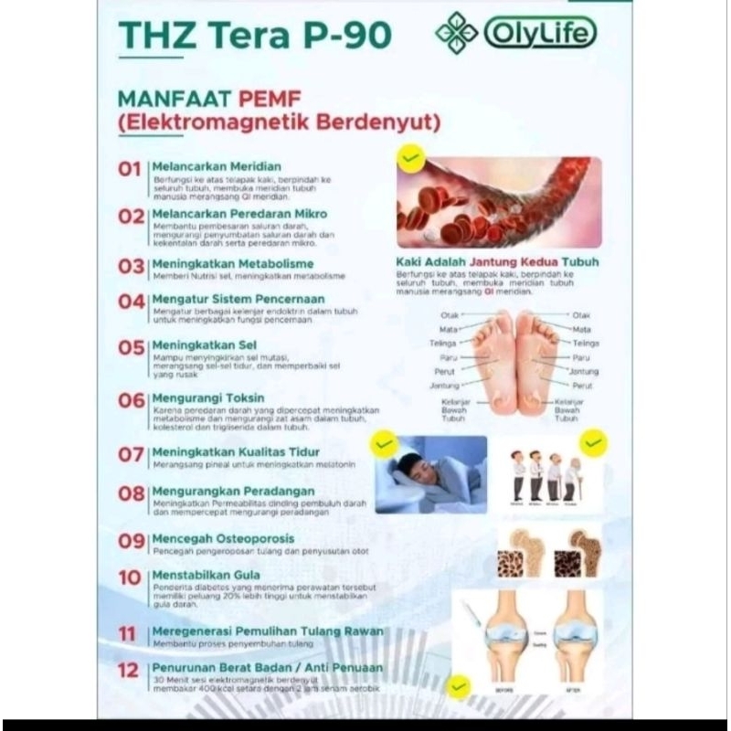 THZ Tera-P90 by Olylife