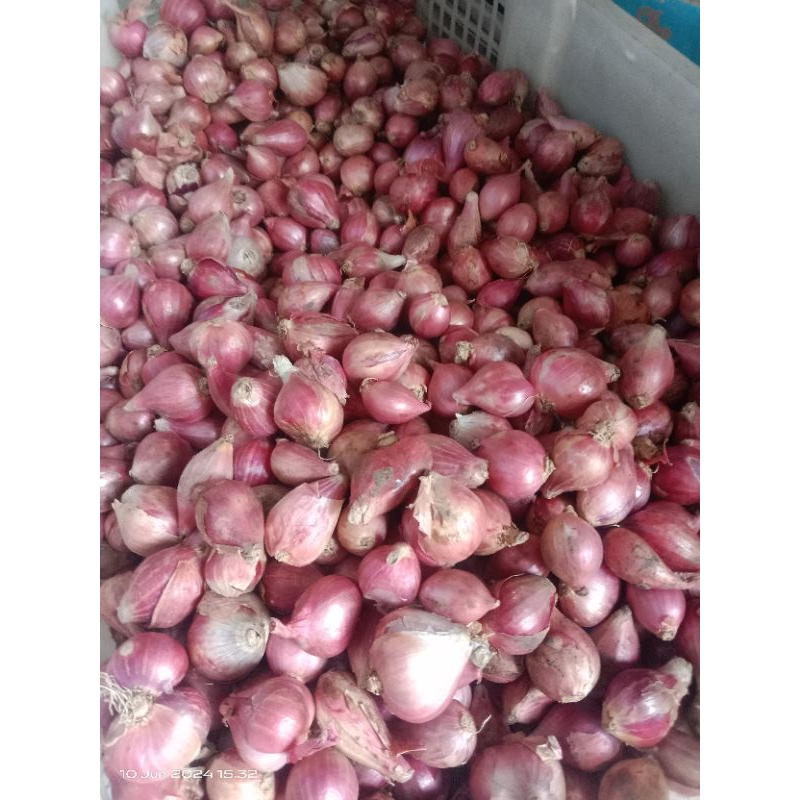 

Bawang Merah Brebes