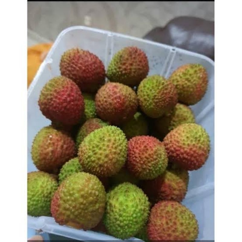 

Buah Leci Madu Fresh