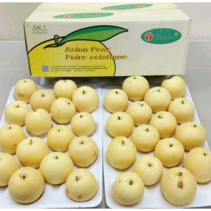 

Pir/Pear Century Manis