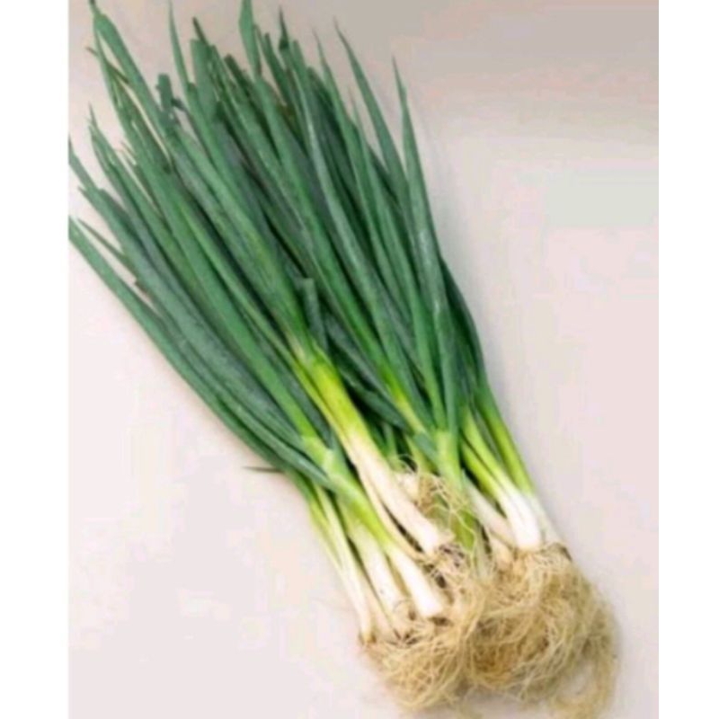 

bawang daun wangi segar 1kg