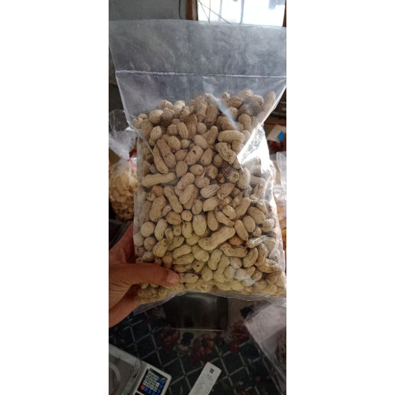 

kacang kulit