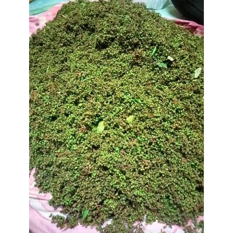 

Andaliman Parsoburan 2000gr(2kg)