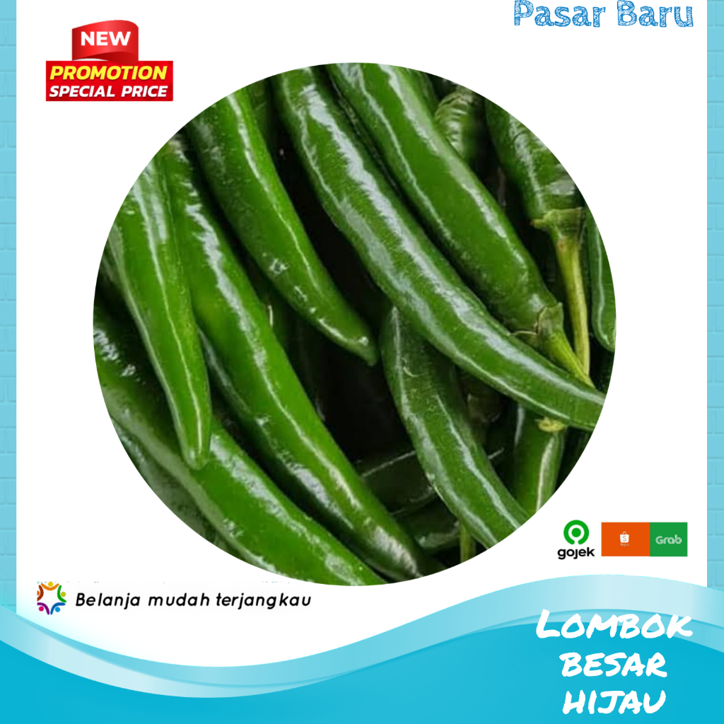 

Lombok Besar Hijau • Murah | Pasar Baru Makassar