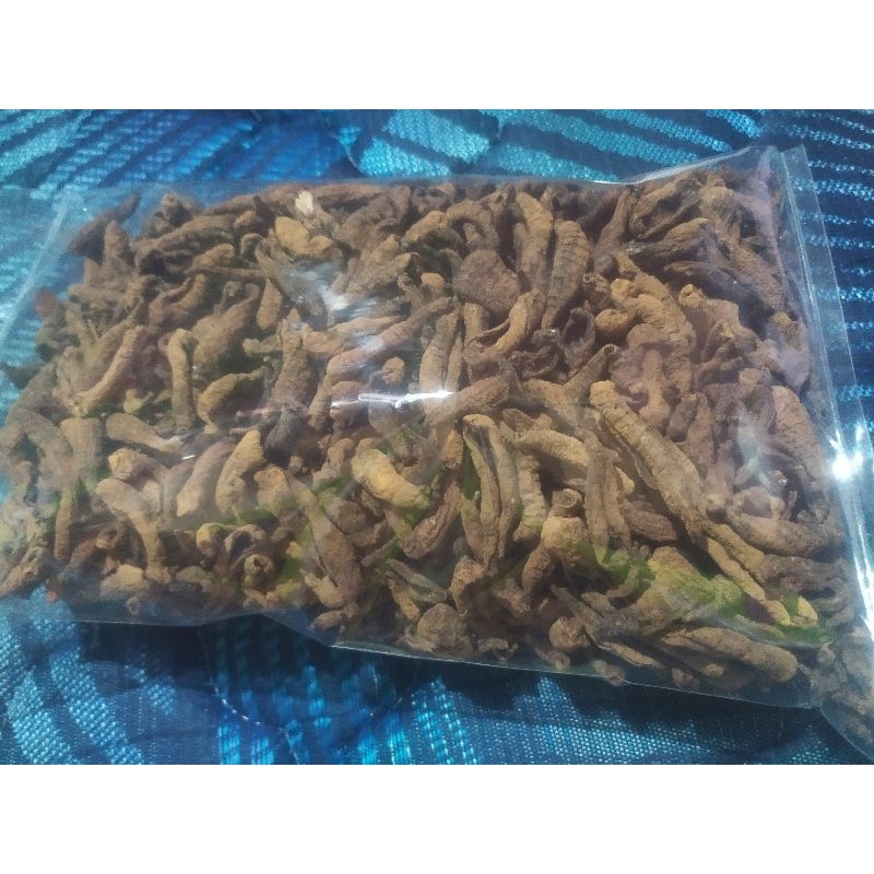 

krupuk tripang mentah (500gr)