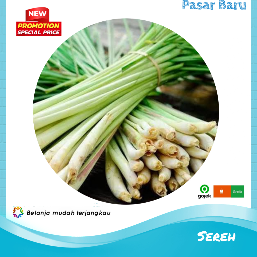 

Sereh / Serai / Sere • 1Ikat Sedang ✓ Murah | Pasar Baru Makassar