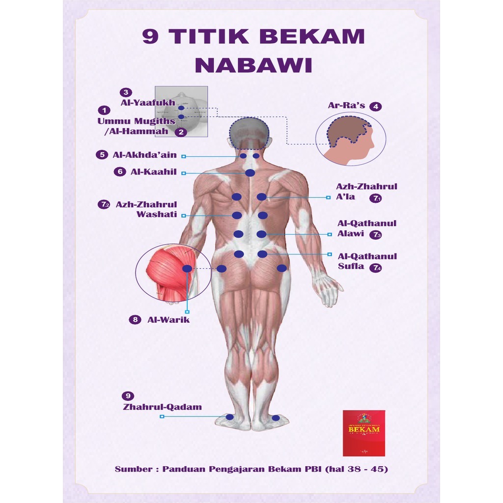 Poster 9 Titik Bekam Thibun Nabawi PBI