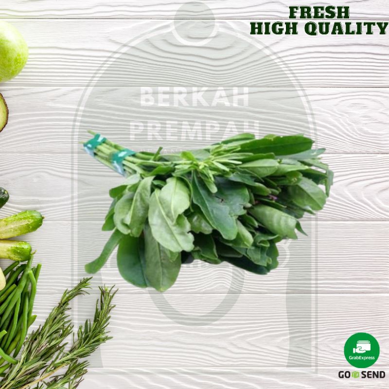 

Daun gingseng segar