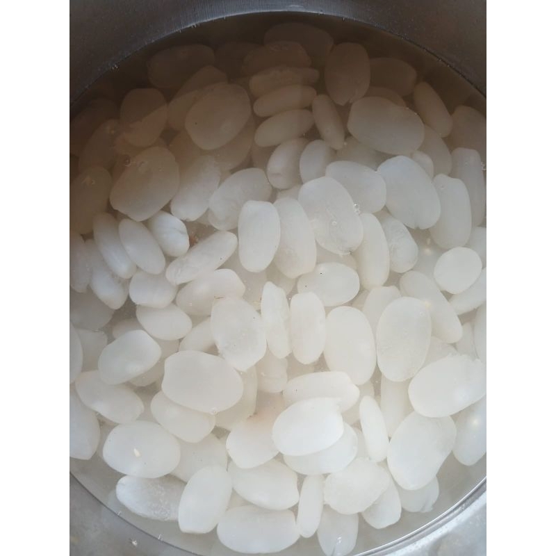 

TERMURAH!!! Kolang Kaling Organik 1kg