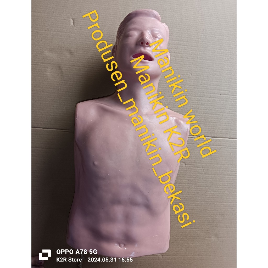 PHANTOM RESUSITASI RJP CPR DEWASA NON INDIKATOR / PHANTOM MANIKIN RESUSITASI RJP CPR DEWASA