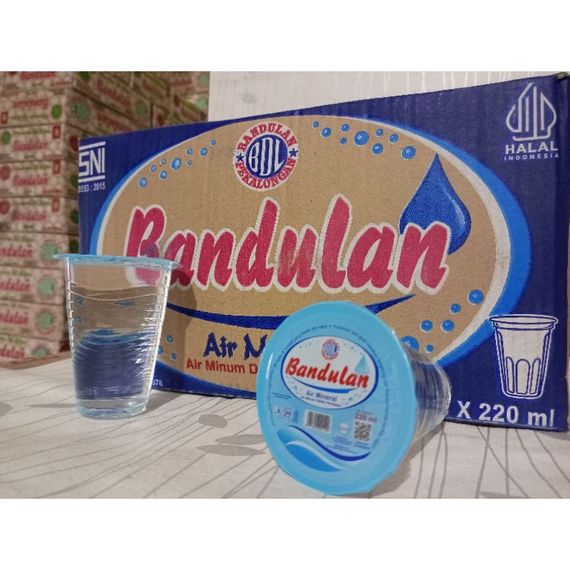 

BANDULAN MINERAL 220 ml