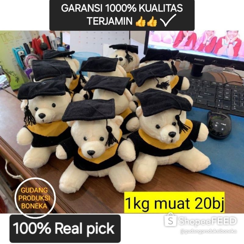 Boneka wisuda/ Bear wisuda mini real pick / boneka wisuda mini / boneka graduation / boneka bucket m