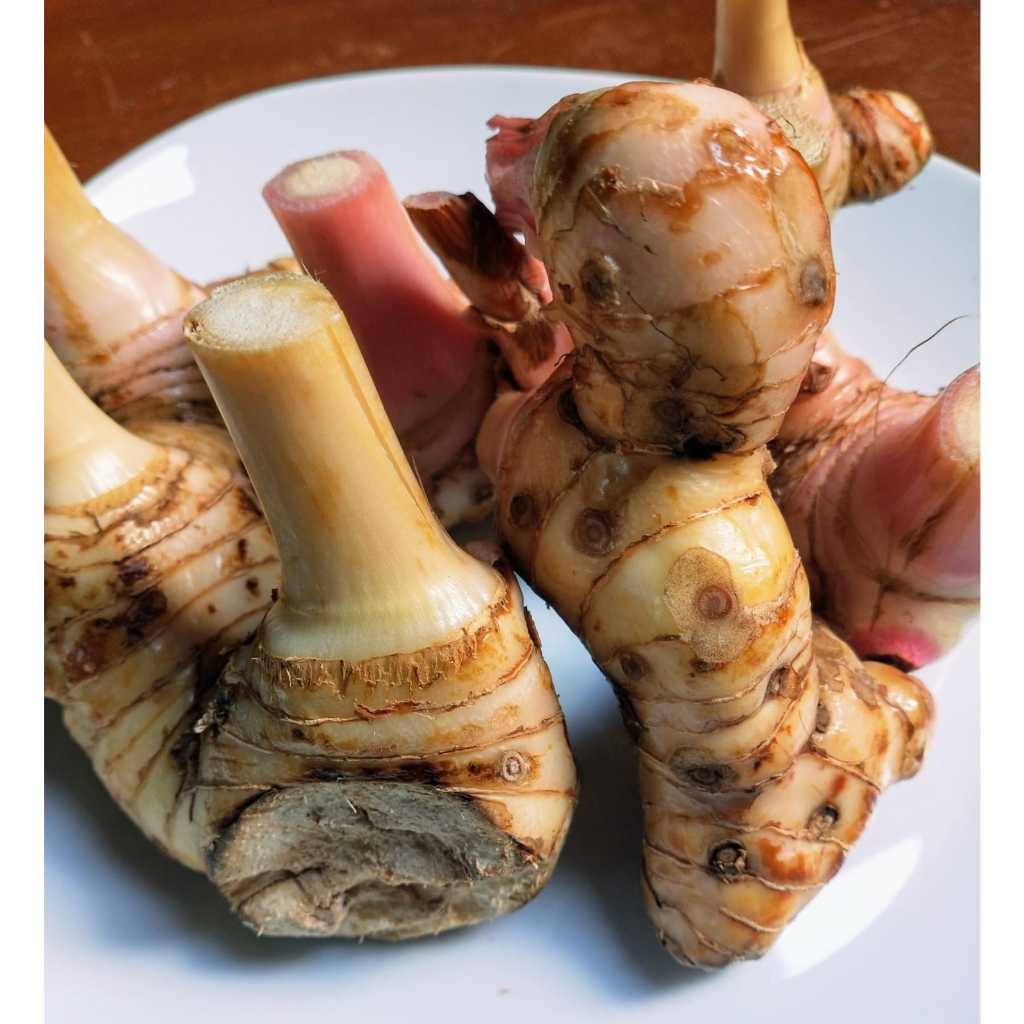 

Lengkuas Laos 1000 gram