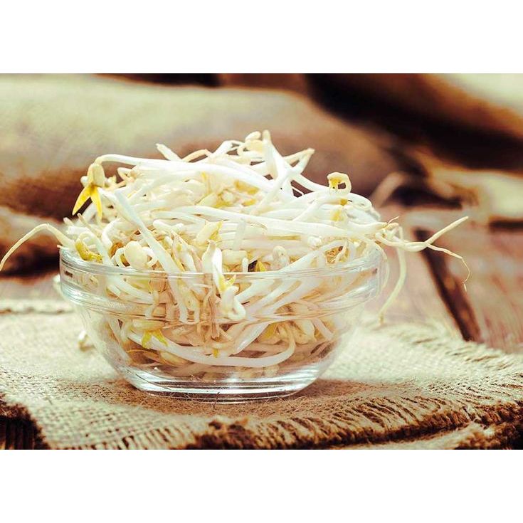 

Toge Segar 100gr